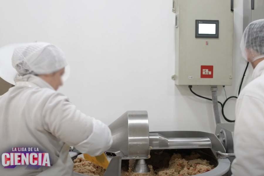 Bien plantados - Ciencia a la obra: Medallones saludables